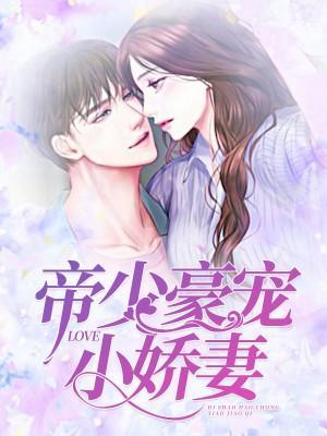 总裁豪宠小娇妻封面