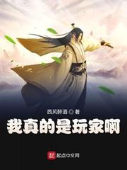 我真的是玩家啊封面
