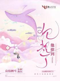 他撩到犯规了封面