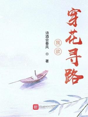 我欲，穿花寻路封面