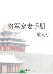将军宠妻手册封面