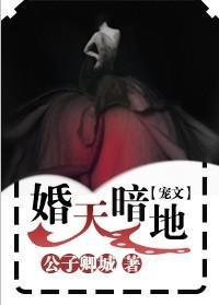婚天暗地封面