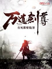 剑道至尊剑无双封面