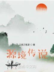源境传说封面
