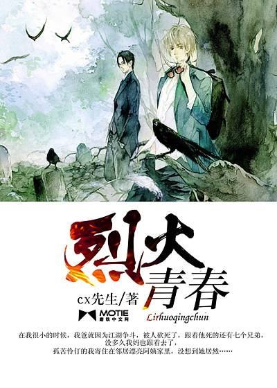 烈火青春封面