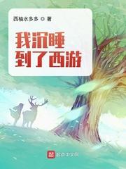 我沉睡到了西游封面