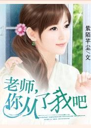 老师，你从了我吧封面
