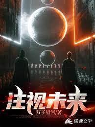 註视未来封面