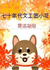 七十年代文工团小花封面