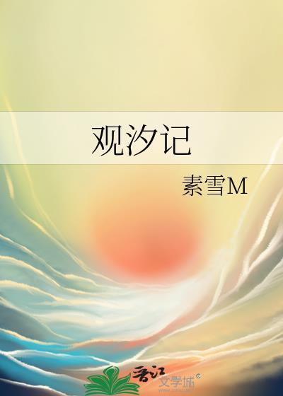 观汐记封面