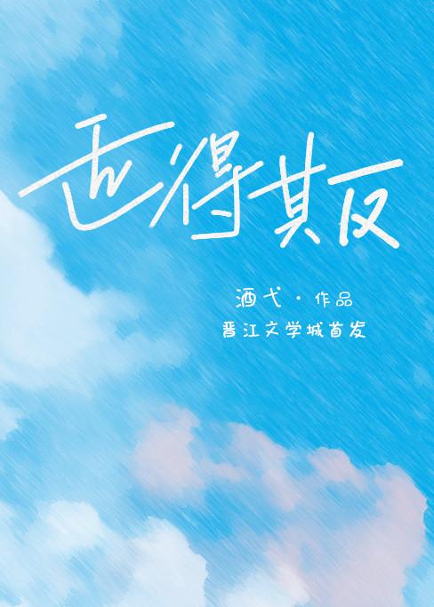 适得其反封面