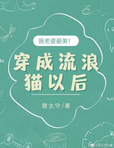 我穿成流浪猫以后封面