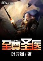 至尊圣医封面