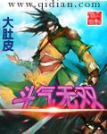 斗气无双封面