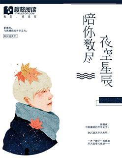 陪你数尽夜空星辰封面