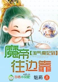 淘气魔妃到，魔帝往边靠封面