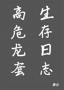 高危龙套生存日志封面