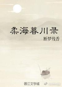 瑈海暮川录封面