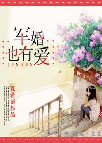 军婚也有爱封面