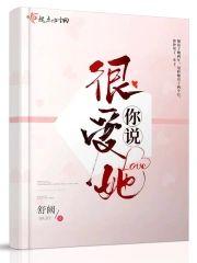 你说很爱她封面