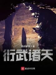 贫道张三丰封面