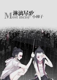 淋漓尽致封面