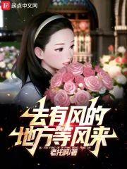 去有风的地方等风来封面