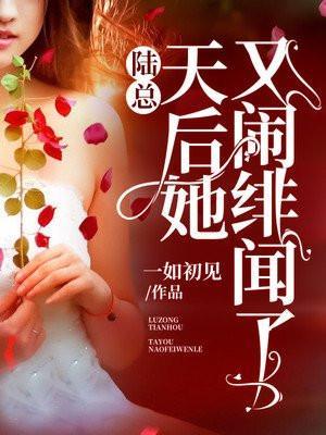 陆总，天后她又闹绯闻了封面