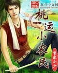 桃运小农民封面