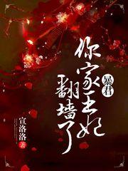 暴君，你家王妃翻墙了封面