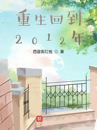 重生回到2012年封面