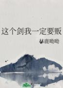 这个剑我一定要贩封面
