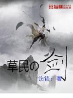 草民的剑封面