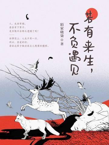 若有来生，不负遇见封面