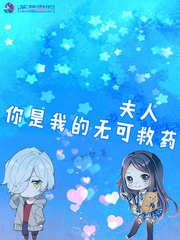 夫人你是我的无可救药封面