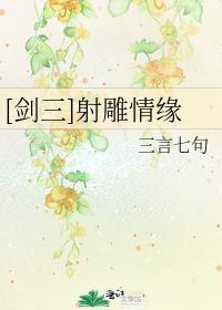 射雕情缘封面