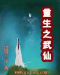 重生之武仙封面