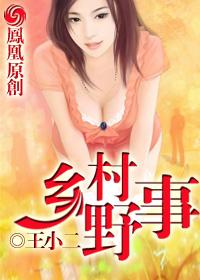 乡村野事封面
