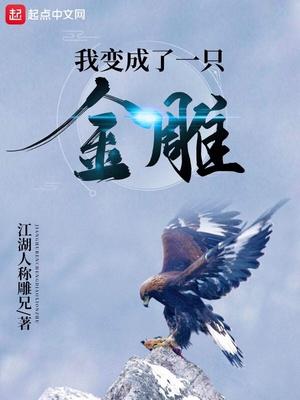 我变成了一只金雕封面