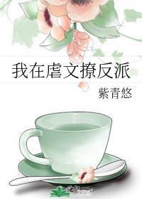 我在虐文撩反派txt下载封面