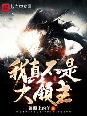 我真不是大领主封面