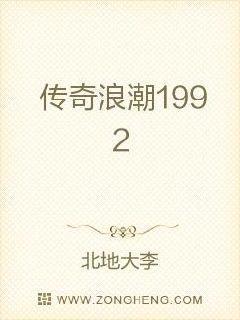 传奇浪潮1992封面