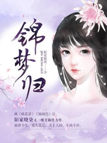 锦梦归封面