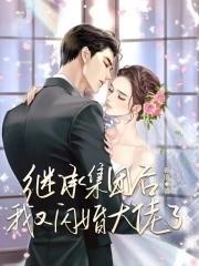 继承集团后，我又闪婚大佬了封面