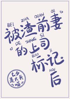 被渣前妻的上司标记后（GL）封面