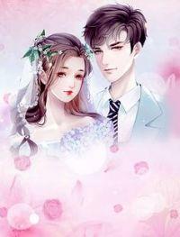 顾先生的恋恋不忘唐黎顾知州封面