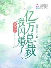被渣后，我闪婚了亿万总裁封面