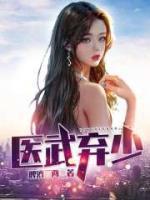 医武弃少封面