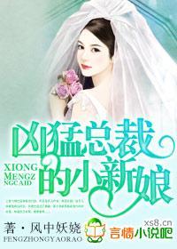 凶猛总裁的小新娘封面