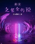 盘龙之紫金传说封面